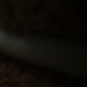 Meet your Posher, Darian